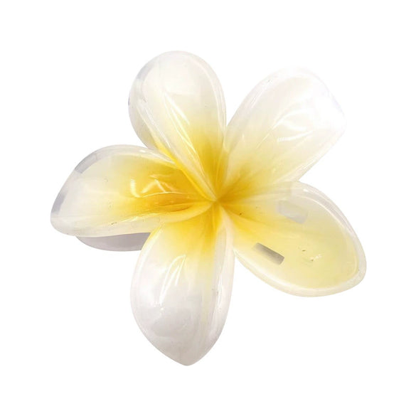 Wholesale Women's Plastic Resin Hairpin With Baking Paint For Spring And Summer