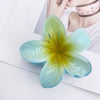 Wholesale Women's Plastic Resin Hairpin With Baking Paint For Spring And Summer