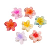 Wholesale Women's Plastic Resin Hairpin With Baking Paint For Spring And Summer