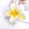 Wholesale Women's Plastic Resin Hairpin With Baking Paint For Spring And Summer