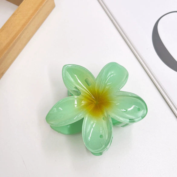 Wholesale Women's Plastic Resin Hairpin With Baking Paint For Spring And Summer