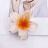Wholesale Women's Plastic Resin Hairpin With Baking Paint For Spring And Summer