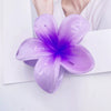 Wholesale Women's Plastic Resin Hairpin With Baking Paint For Spring And Summer