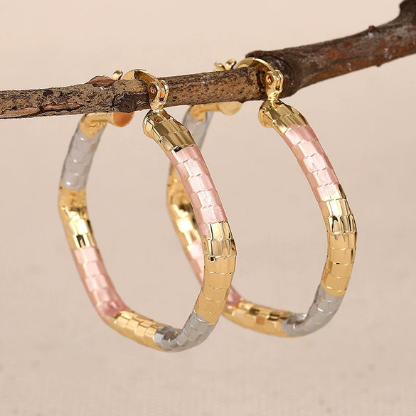 Wholesale Women's Princess Style Geometric Copper Earrings With Electroplating