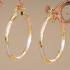 Wholesale Women's Princess Style Geometric Copper Electroplated Earrings