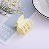 Wholesale Women's Resin Small Claw Clip Hair Accessory With Baking Paint Finish