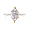 Wholesale Women's Ring S925 Sterling Silver Geometric Design Electroplated With Ice Flower High Carbon Diamond Zircon