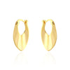 Wholesale Women's S925 Silver Geometric Style Electroplated Irregular Earrings