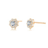 Wholesale Women's S925 Sterling Silver Geometric Electroplated Flower Earrings