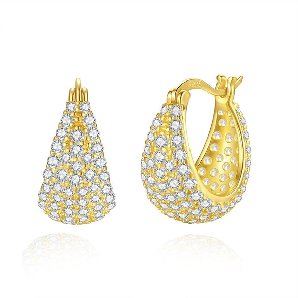 Wholesale Women's S925 Sterling Silver Geometric Hoop Earrings With Electroplating