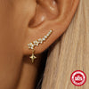 Wholesale Women's S925 Sterling Silver Geometric Petal Zircon Pendant Earrings With Electroplating And Simple Style