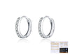 Wholesale Women's S925 Sterling Silver Geometric Shining Rowing Diamond Ear Ring With High End Sense For Autumn And Winter