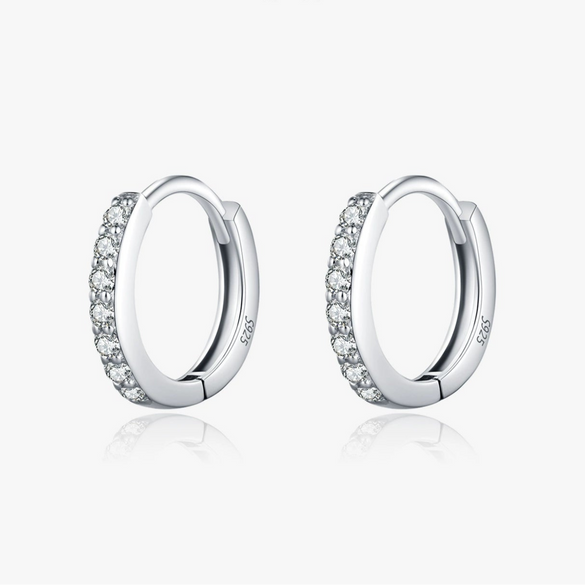 Wholesale Women's S925 Sterling Silver Geometric Shining Rowing Diamond Ear Ring With High End Sense For Autumn And Winter