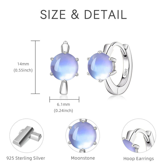 Wholesale Women's S925 Sterling Silver Geometric Ushaped And Drop Shape Zircon Earrings