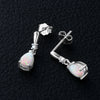 Wholesale Women's S925 Sterling Silver Geometric Ushaped And Drop Shape Zircon Earrings