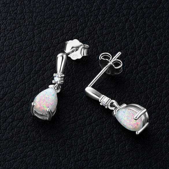 Wholesale Women's S925 Sterling Silver Geometric Ushaped And Drop Shape Zircon Earrings