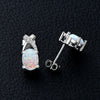 Wholesale Women's S925 Sterling Silver Geometric Ushaped And Drop Shape Zircon Earrings