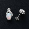 Wholesale Women's S925 Sterling Silver Geometric Ushaped And Drop Shape Zircon Earrings