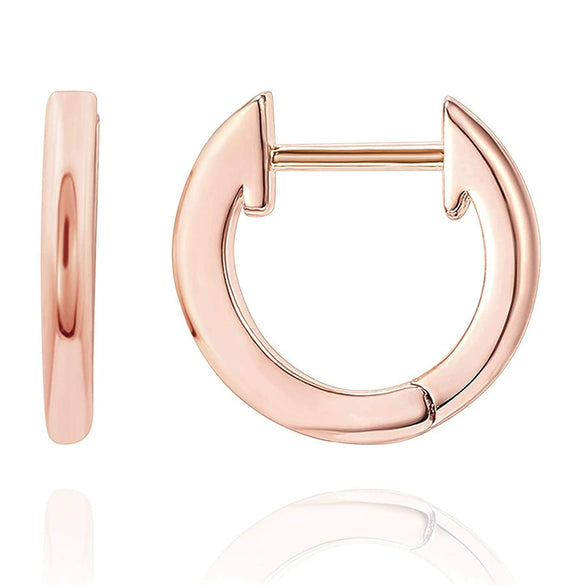 Wholesale Women's S925 Sterling Silver Geometric Ushaped And Drop Shape Zircon Earrings