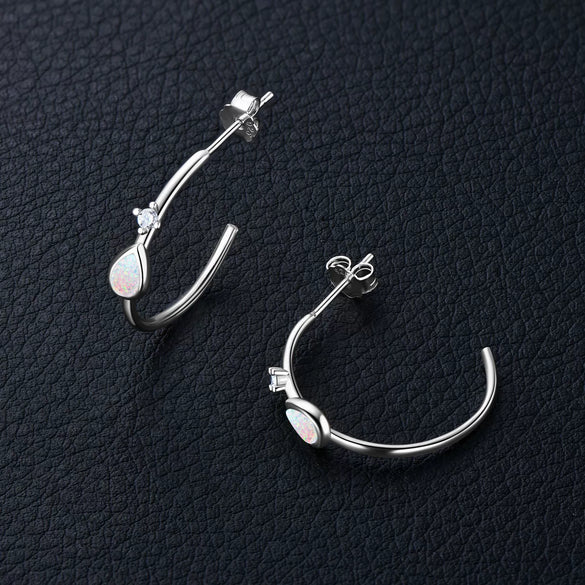 Wholesale Women's S925 Sterling Silver Geometric Ushaped And Drop Shape Zircon Earrings