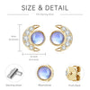 Wholesale Women's S925 Sterling Silver Geometric Ushaped And Drop Shape Zircon Earrings