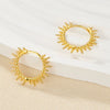 Wholesale Women's 925 Silver Geometric Earrings With Electroplating