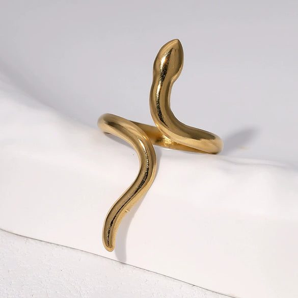 Wholesale Women's Simple Electroplated Stainless Steel Snakeshaped Zodiac Ring With Adjustable Opening