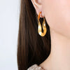 Wholesale Women's Simple Geometric Ushaped Electroplated Titanium Steel Earrings