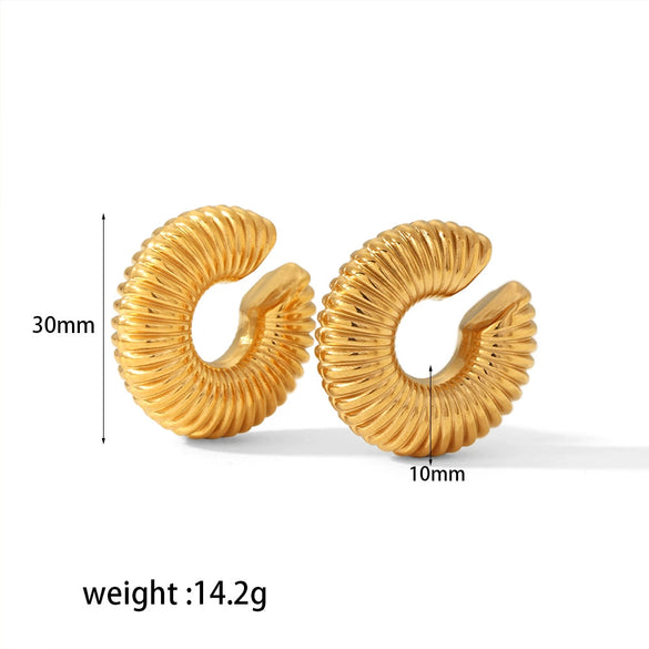 Wholesale Women's Simple Stainless Steel Geometric Ushaped Ctype Electroplated Earrings
