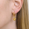 Wholesale Women's Stainless Steel And Titanium Steel Bear Head Earrings With Vacuum Real Gold Plating In Pvd Furnace