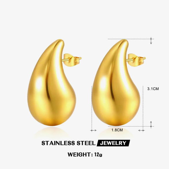 Wholesale Women's Stainless Steel Drop Shape Ins Style Electroplated Earrings