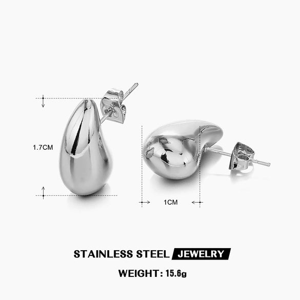Wholesale Women's Stainless Steel Drop Shape Ins Style Electroplated Earrings