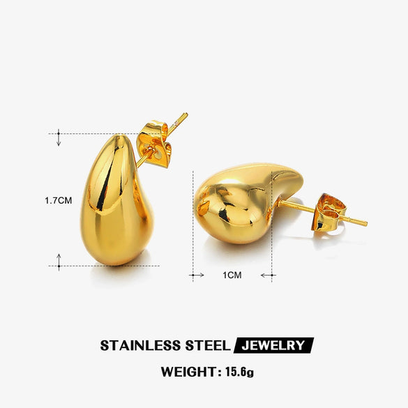 Wholesale Women's Stainless Steel Drop Shape Ins Style Electroplated Earrings