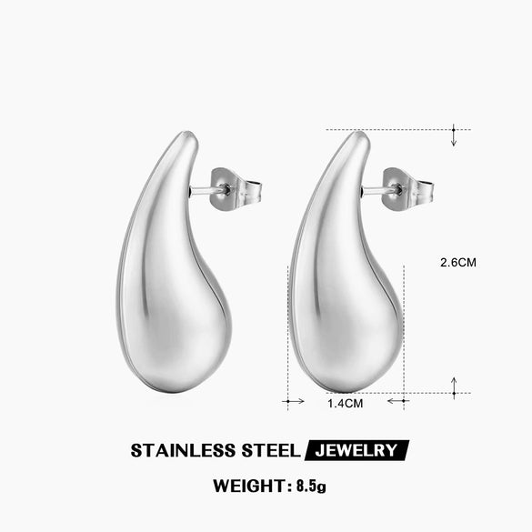 Wholesale Women's Stainless Steel Drop Shape Ins Style Electroplated Earrings