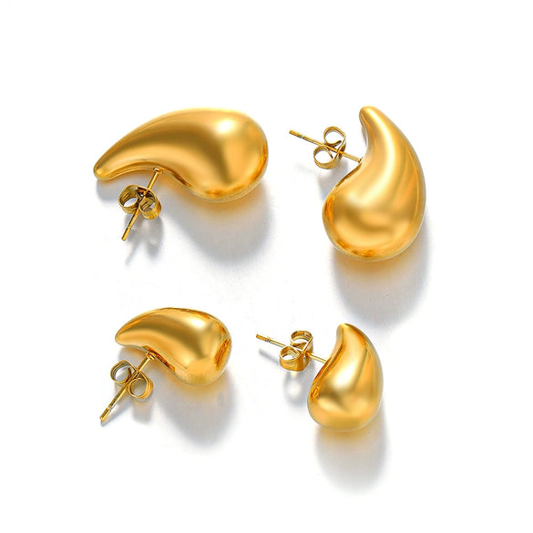 Wholesale Women's Stainless Steel Drop Shape Ins Style Electroplated Earrings