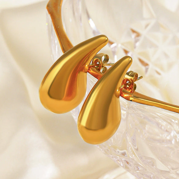 Wholesale Women's Stainless Steel Drop Shape Ins Style Electroplated Earrings