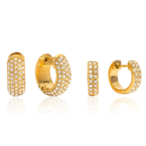 Wholesale Women's Stainless Steel Geometric Circle Pattern Vacuum Plated Earrings