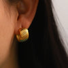 Wholesale Women's Stainless Steel Geometric Cshaped Electroplated Earrings