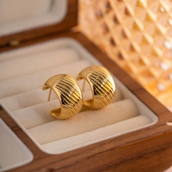 Wholesale Women's Stainless Steel Geometric Cshaped Threaded Earrings With Electroplating Light Luxury Trend Jewelry