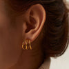Wholesale Women's Stainless Steel Geometric Earrings With Electroplating Light Luxury High End Non Fading