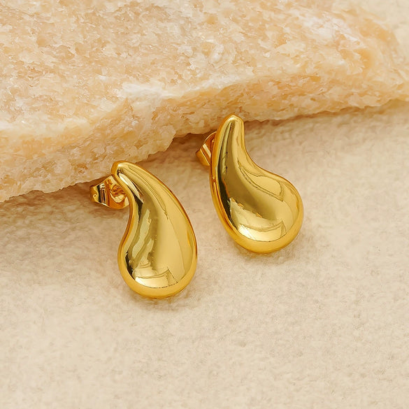 Wholesale Women's Stainless Steel Geometric Fashion Luxury Electroplated Comma Earrings