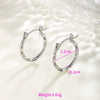 Wholesale Women's Stainless Steel Geometric Heartshaped Hoop Earrings Electroplated