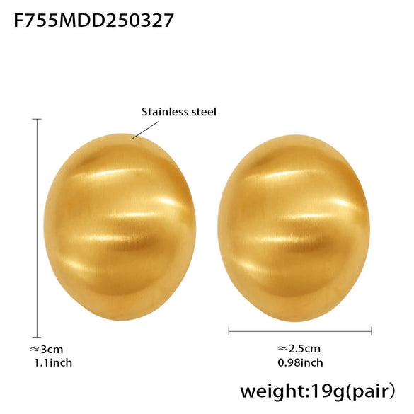 Wholesale Women's Stainless Steel Geometric Oval Frosted Brushed Light Luxury Style Electroplated Earrings
