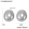 Wholesale Women's Stainless Steel Geometric Oval Frosted Brushed Light Luxury Style Electroplated Earrings