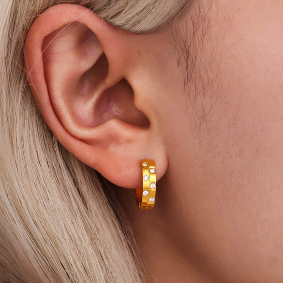 Wholesale Women's 316L Stainless Steel Geometric Pvd Plated C Zircon Earrings Light Luxury Style