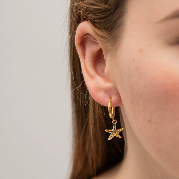 Wholesale Women's Stainless Steel Geometric Starfish Pendant Earrings With Electroplating Treatment Retro Ins Style
