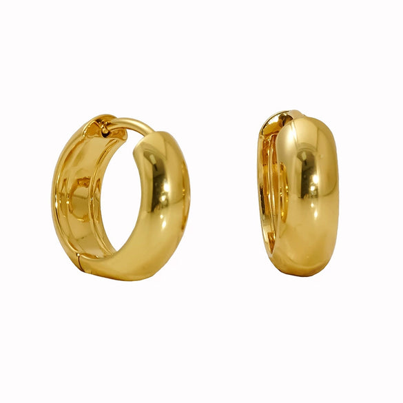 Wholesale Women's Stainless Steel Geometric Ushaped Water Plated Earrings