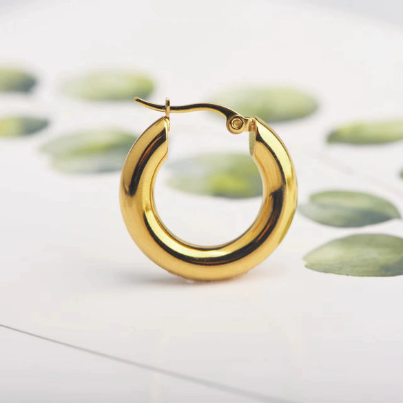 Wholesale Women's Stainless Steel Hoop Earrings Geometric Style Electroplated