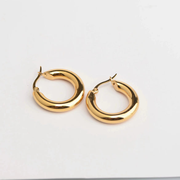 Wholesale Women's Stainless Steel Hoop Earrings Geometric Style Electroplated