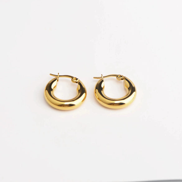 Wholesale Women's Stainless Steel Hoop Earrings Geometric Style Electroplated